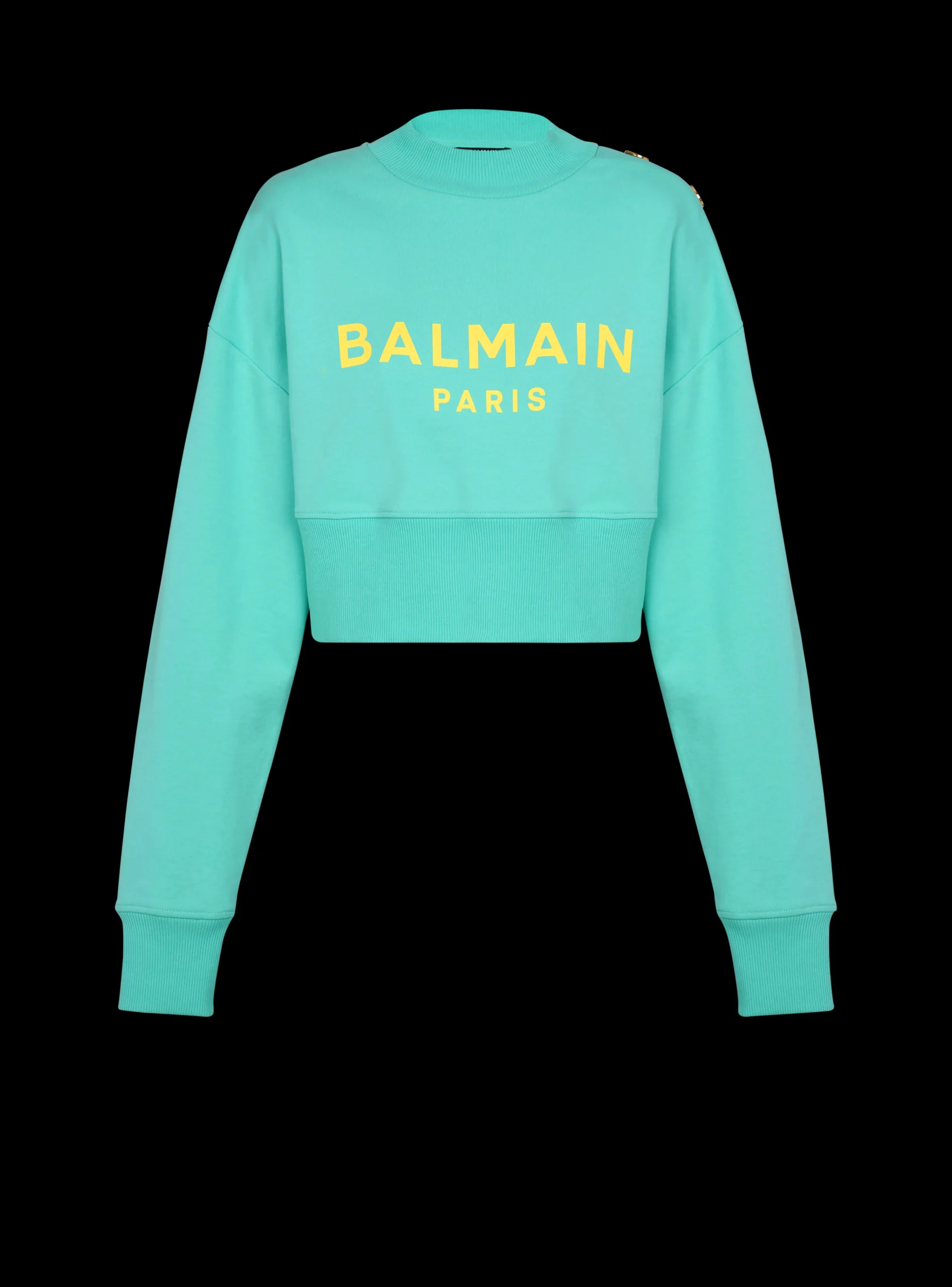 Hot Cropped Sweatshirt With Paris Print Women Sweatshirts