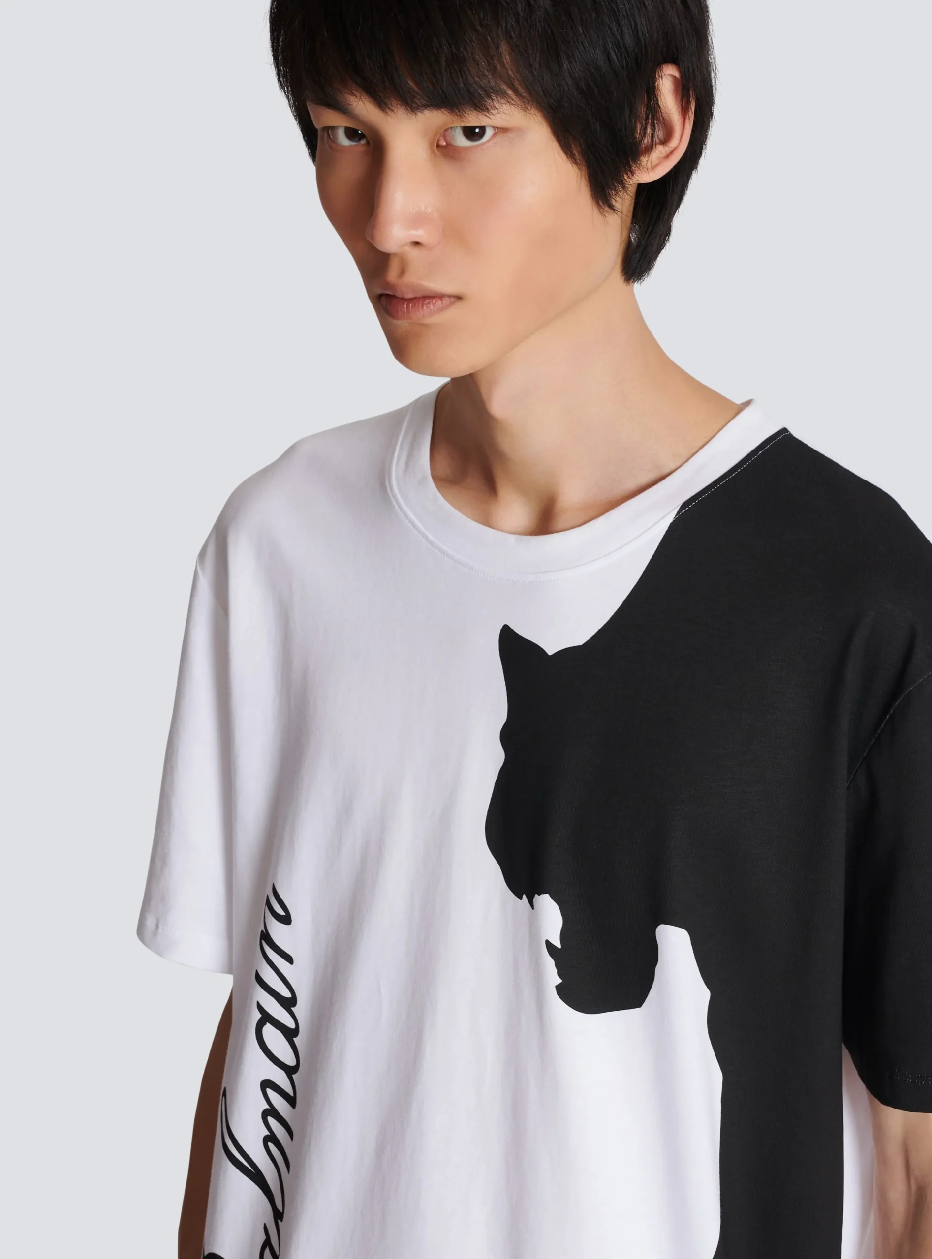 Shop Tiger Print Short-sleeved T-shirt T-Shirts