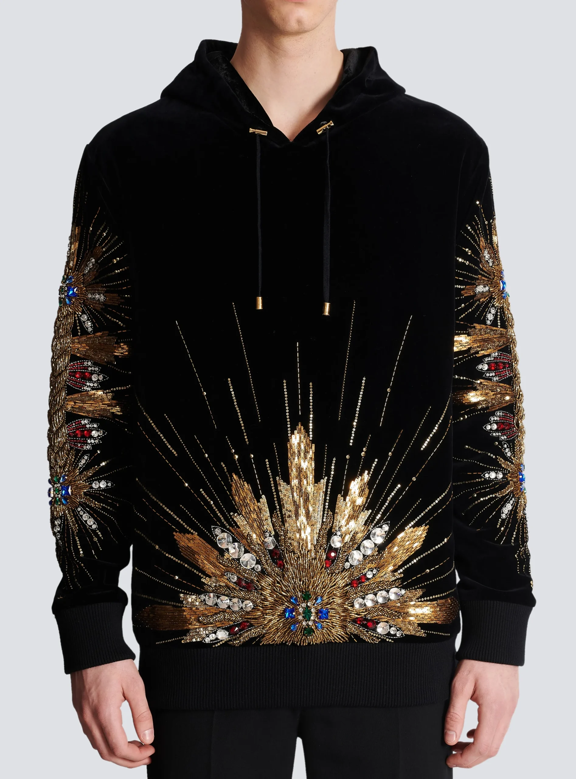 Hot Velvet Hooded Sweatshirt With Embroidery Sweatshirts